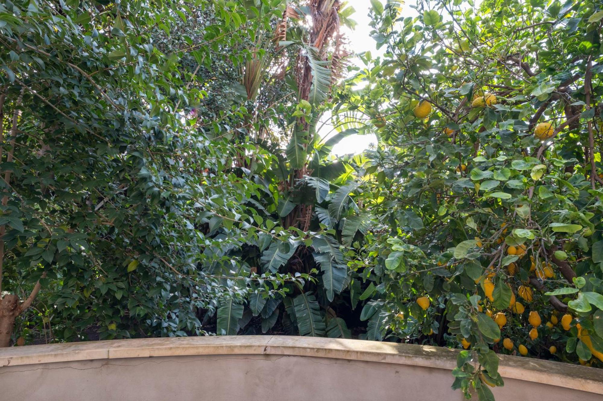 La Corte Dei Nespoli Acireale Buitenkant foto
